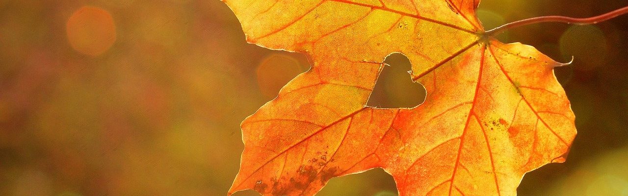 fall leaf with a heart shape